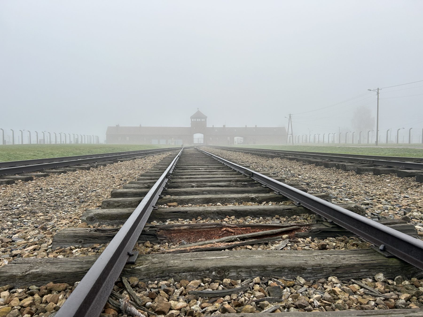 L'histoire vraie du tatoueur d'Auschwitz